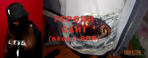 шишки Апатиты
