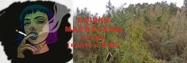 эйфоретик Анива