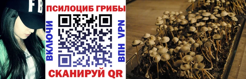 наркошоп  Таганрог  omg   Галлюциногенные грибы мицелий 