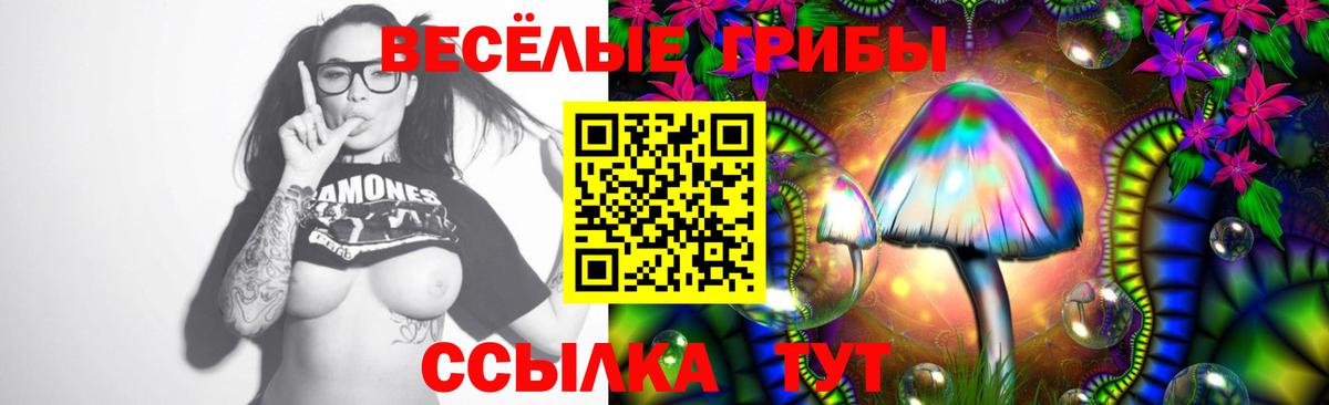 Таганрог  Галлюциногенные грибы Psilocybine cubensis  Вход с VPN 
