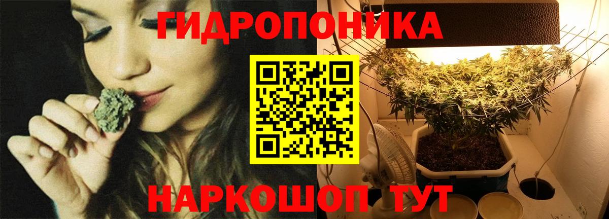 Псилоцибиновые грибы Таганрог